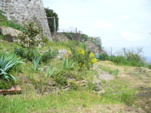 Maison cot jardin bis