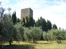 Jardin de la tour